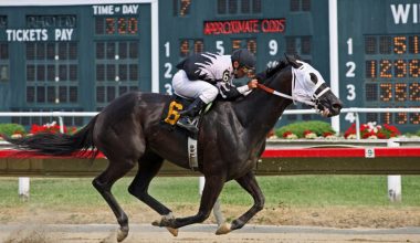 Apostas em corridas de cavalos na Olabet